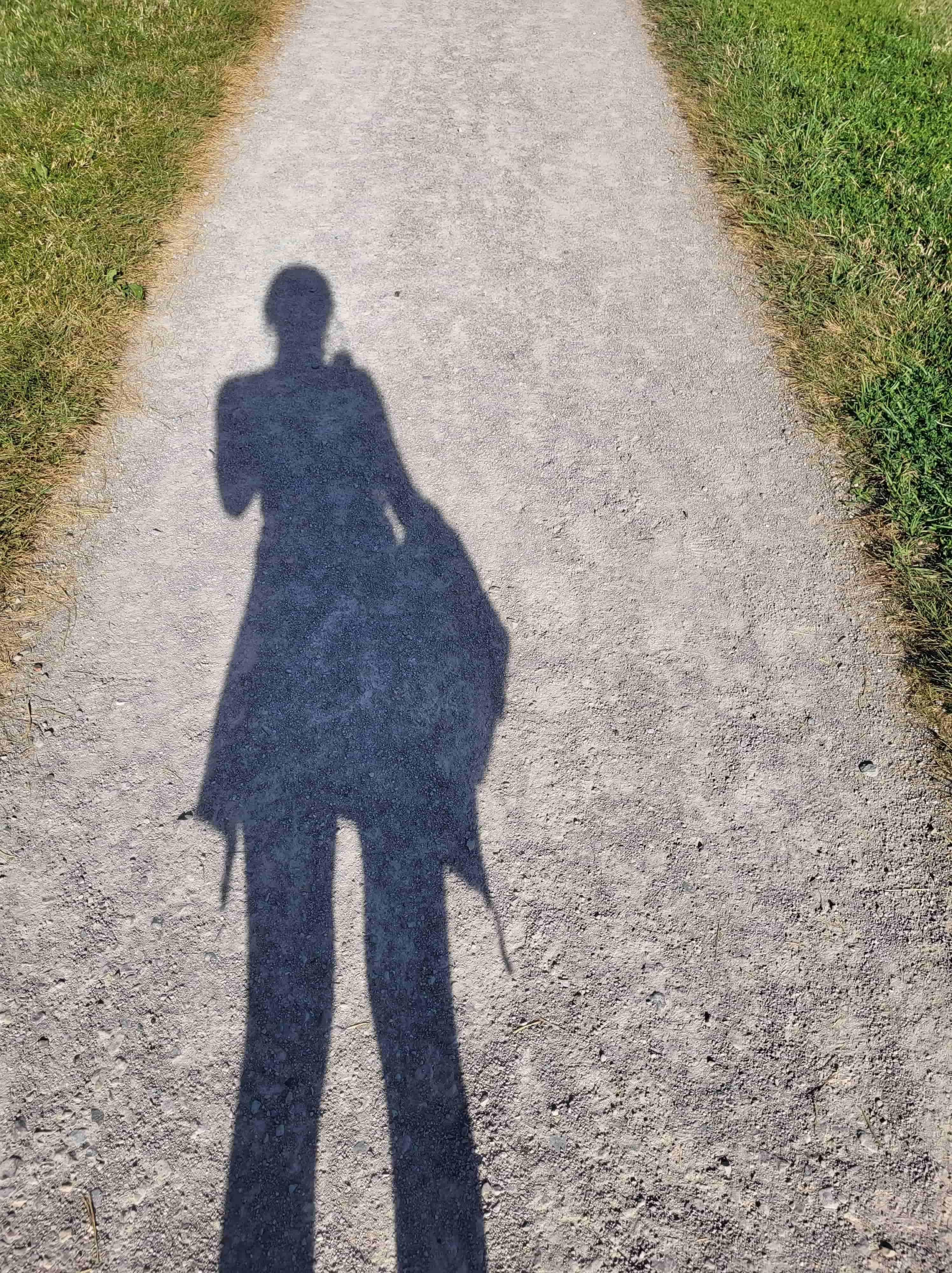 The picture is of a person's shadow on a dirt path. There is grass on either sides of the path.