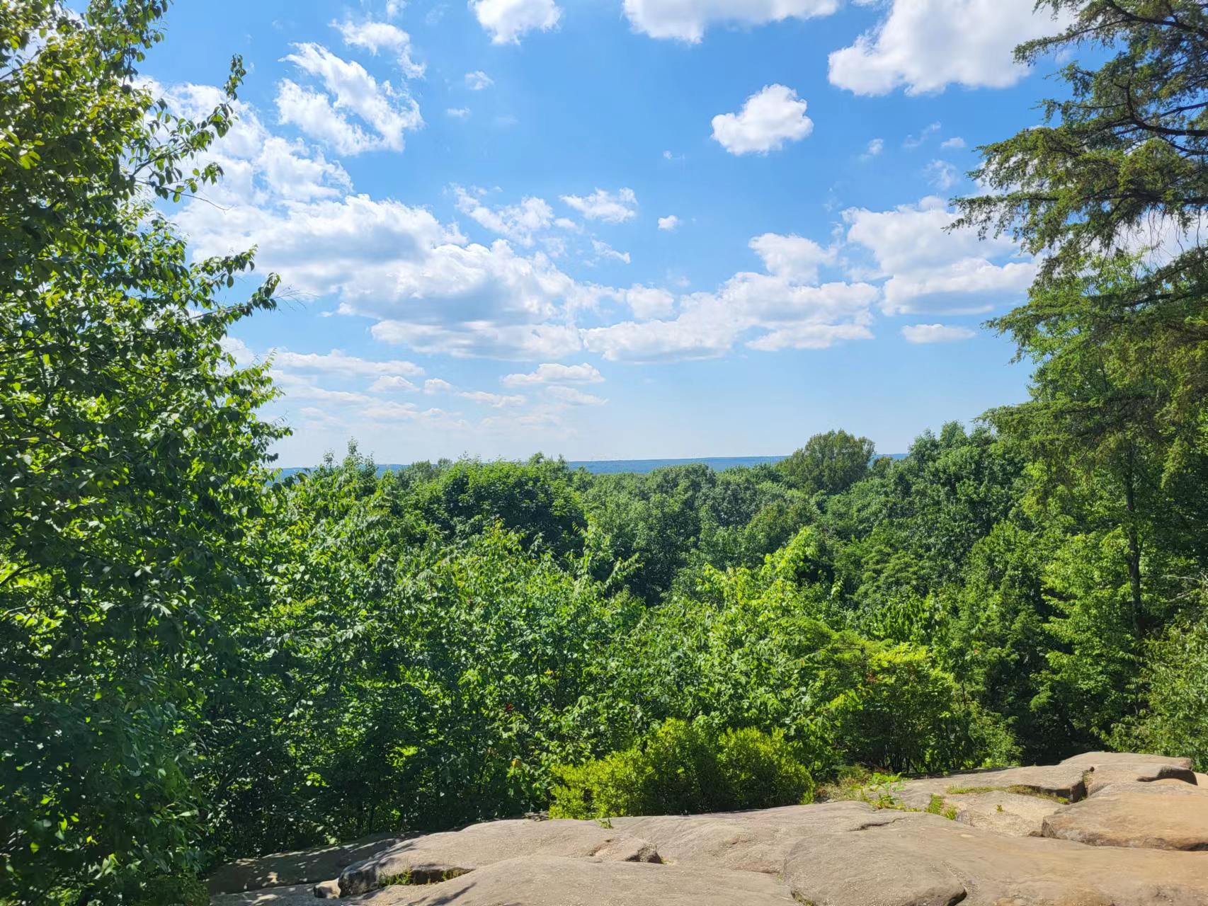 A picture of an overlook location. There are a lot of trees in the foreground.